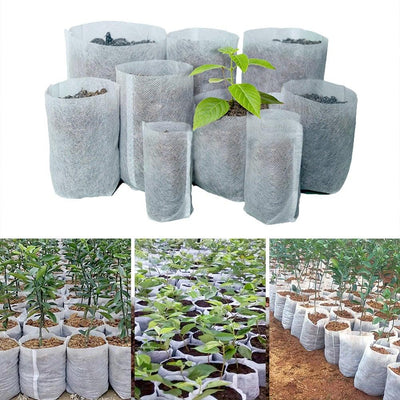 100 PCS Biodegradable Seedling Pots - Synoptic Home Essentials